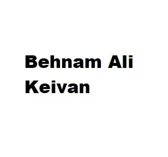 Behnam Ali Keivan Dubai developer