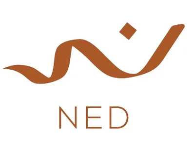 NED Properties Dubai developer