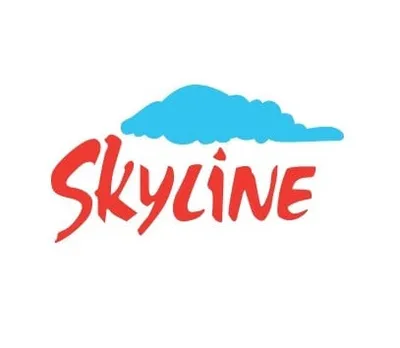 Skyline Builders Dubai developer
