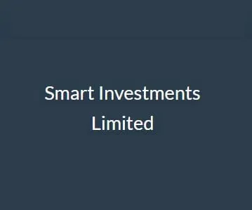 Smart Investment Dubai developer